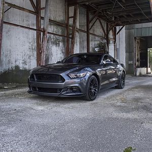 2015 Mustang 2015 09 19 028 edit