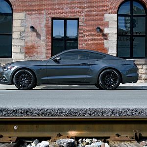 2015 Mustang 2015 09 19 007 edit
