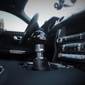 shift knob 2015 09 11 002