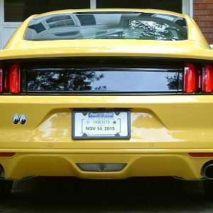 Blank Rear Panel