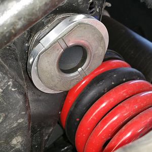 3169.jpg