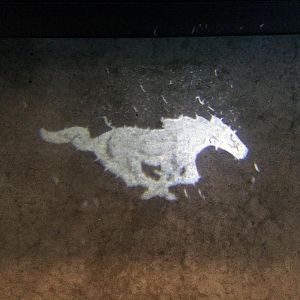 pony light 2015 10 08 001