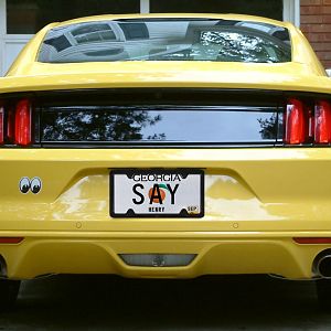 Blank Rear Panel