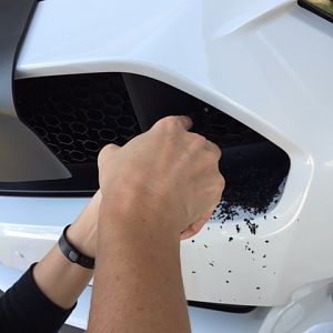 dremel and touch up