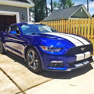 stang