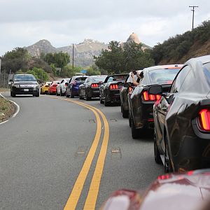 Sprinkly weather be damned! An amazing adventure nonetheless. Treacherous twisties!
Mustangs on Mulholland - 10/18/15