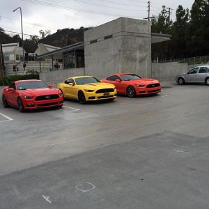 Taste the rainbow
Mustangs on Mulholland - 10/18/15
