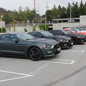 Mustangs on Mulholland - 10/18/15
LA, pre-cruise meet
