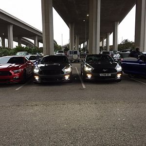 Mustangs on Mulholland - 10/18/15
LAX convoy