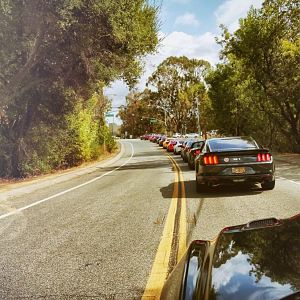 Mustangs on Mulholland - 10/18/15