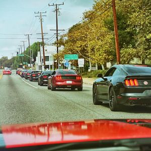 Mustangs on Mulholland - 10/18/15