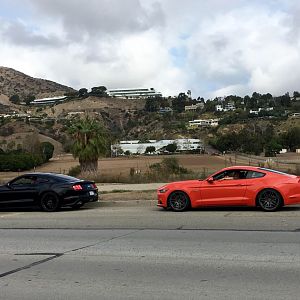 Mustangs on Mulholland - 10/18/15