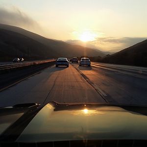 Mustangs on Mulholland - 10/18/15