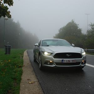 DSC 0096rs