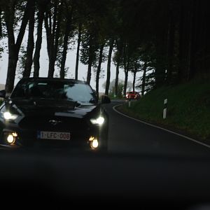 DSC 0106rs