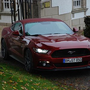 DSC 0171rs