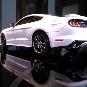 50thLMTD rear
