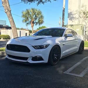 steeda