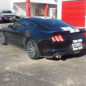 Black 2015 Mustang GT Premium w/White Stripes (Velgen VMB7 Wheels, Eibach Sportline Springs, Bassani Catback Exhaust)