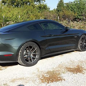 Guard 2015 Mustang GT Premium (Auto, Velgen VMB5 Wheels, Ford Racing Springs, Ford Racing Touring Axleback Exhaust)