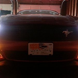 Pony 2 the right