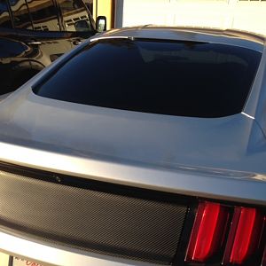 Carbon fiber rear