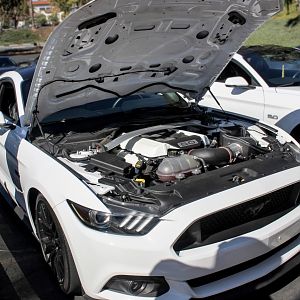 Lake Elsinore cruise 9/20/15