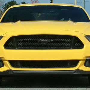 FS01 Front