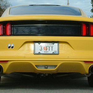 FS01 Rear