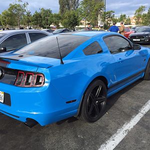 Ponies on Palomar - Nov 15, 2015