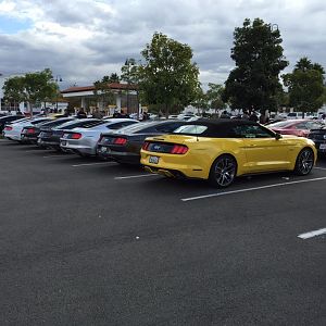 Ponies on Palomar - Nov 15, 2015