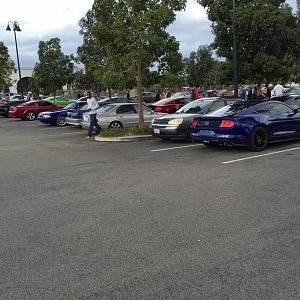 Ponies on Palomar - Nov 15, 2015