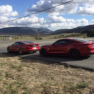 Ponies on Palomar - Nov 15, 2015