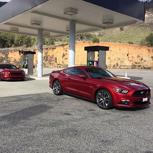 Ponies on Palomar - Nov 15, 2015