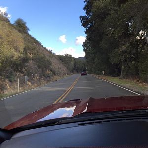 Ponies on Palomar - Nov 15, 2015