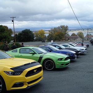 Ponies on Palomar - Nov 15, 2015