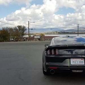 Ponies on Palomar - Nov 15, 2015