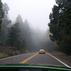Ponies on Palomar - Nov 15, 2015