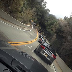 Ponies on Palomar - Nov 15, 2015