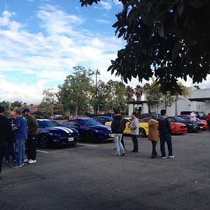 Ponies on Palomar - Nov 15, 2015
