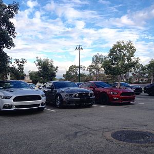 Ponies on Palomar - Nov 15, 2015
