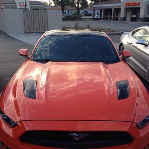 Ponies on Palomar - Nov 15, 2015