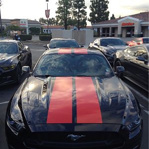 Ponies on Palomar - Nov 15, 2015