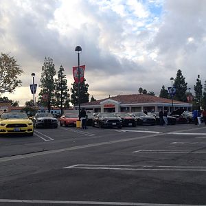 Ponies on Palomar - Nov 15, 2015