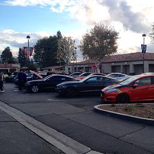 Ponies on Palomar - Nov 15, 2015