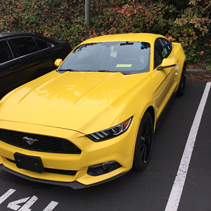 At the dealer waiting on seat belt recall
