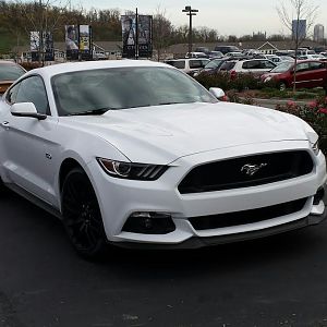 Mustang1
