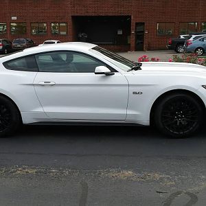 Mustang2