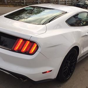 Mustang3