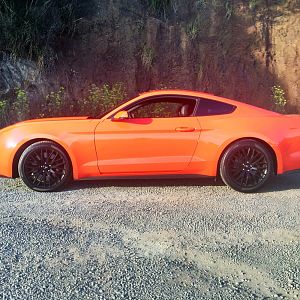 2015 GT PP all stock...for now!
